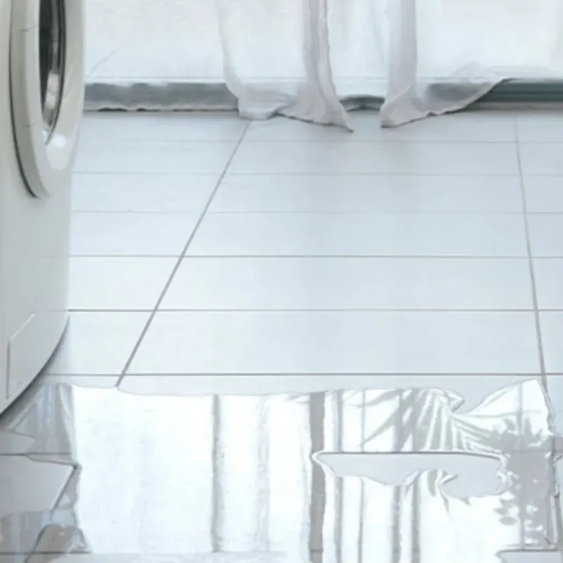 Appliance Leak Cleanup in Seneca, SC